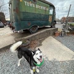Enlarge Shiloh, an adopted mixed breed in Waxhaw, NC image 3/4