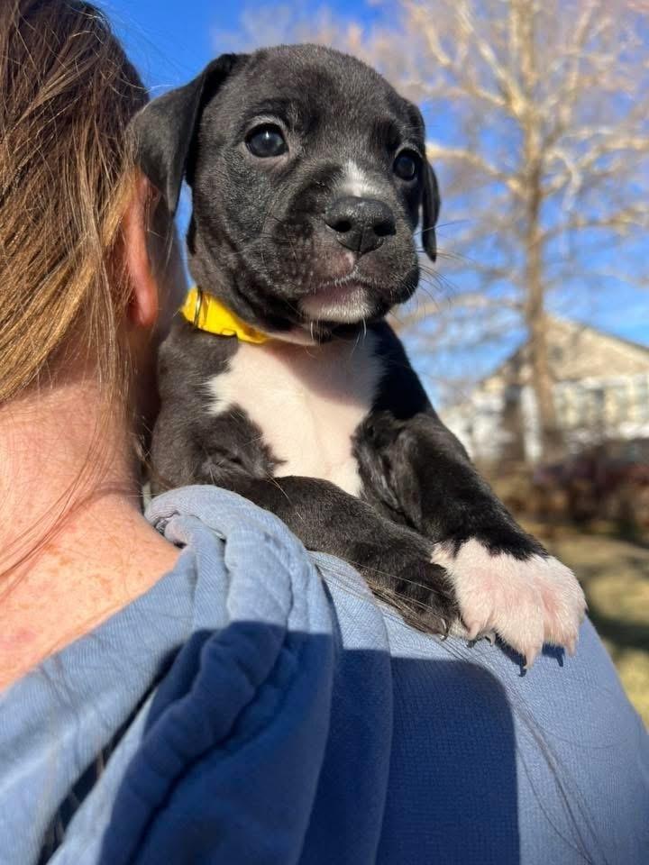 Nicholas thumbnail 2