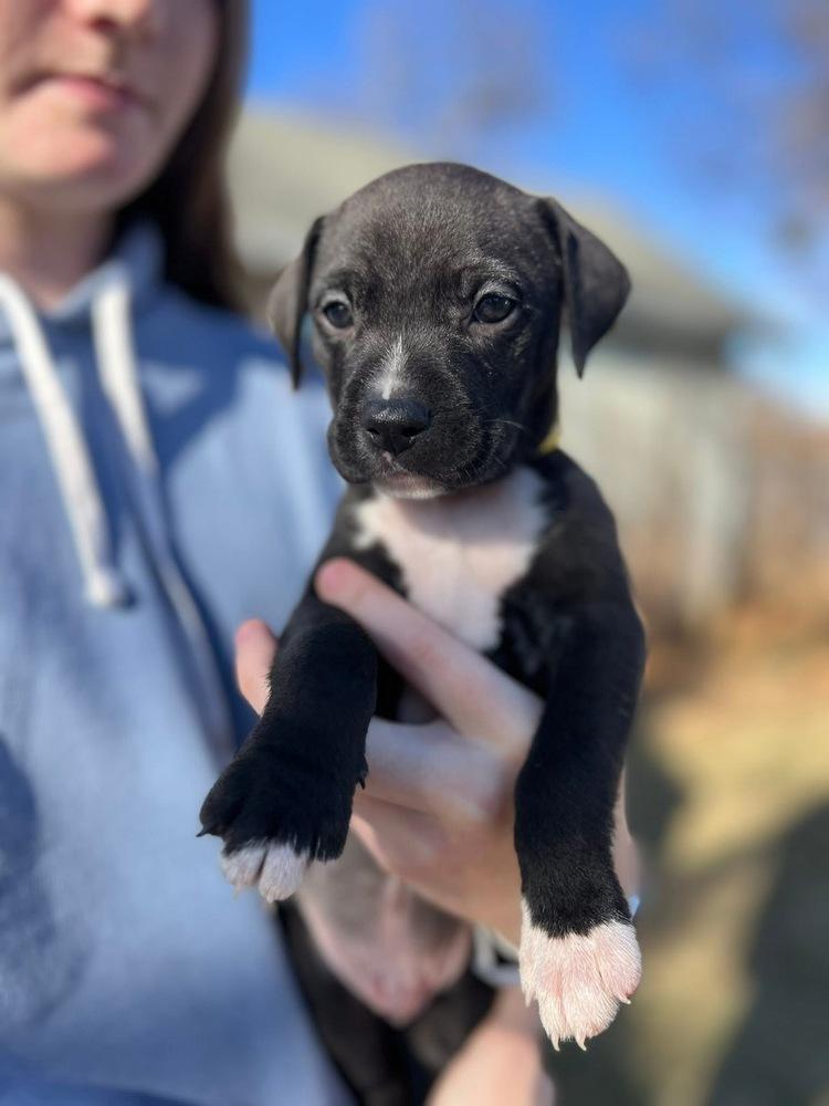 Nicholas thumbnail 4