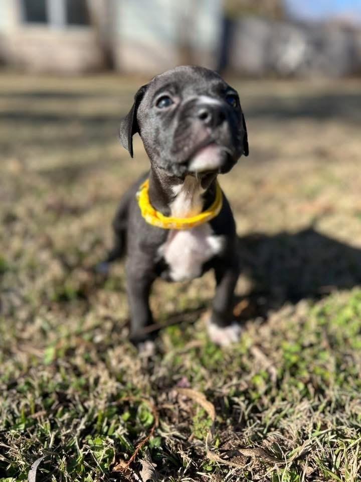 Nicholas thumbnail 5