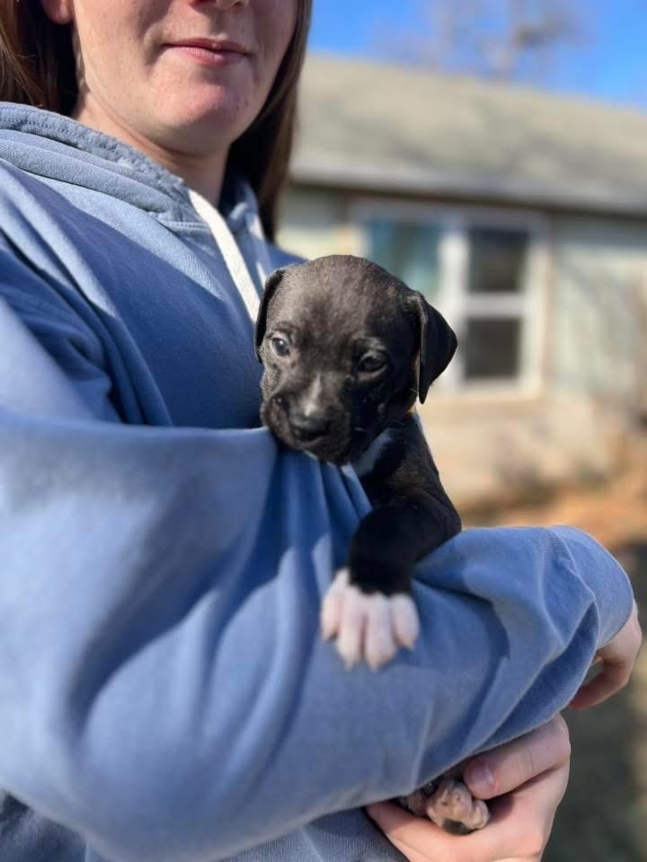 Nicholas thumbnail 6