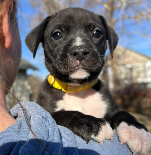 Nicholas thumbnail 7