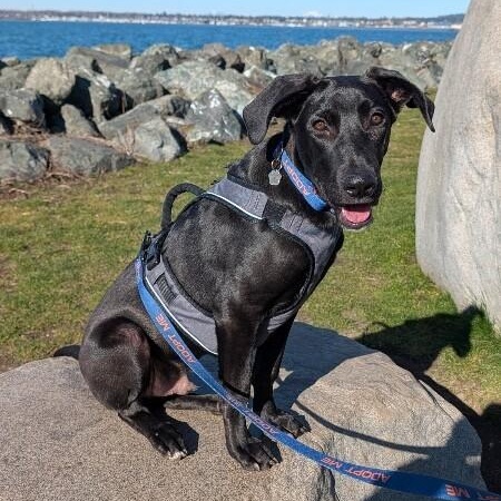 Heath The King Size Candy Bar