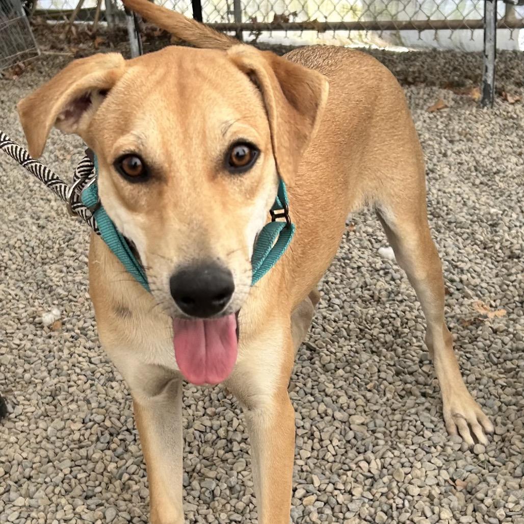 Truck — thumbnail 2