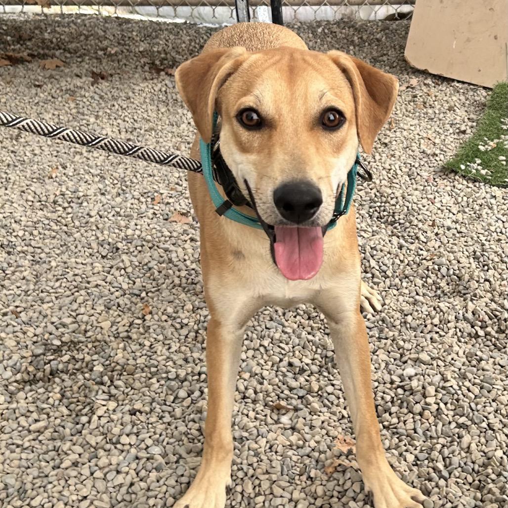 Truck — thumbnail 3