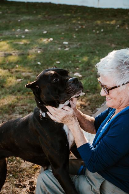 Enlarge Izzy, a Adoptable mixed breed in Belleville, MI image 2/3