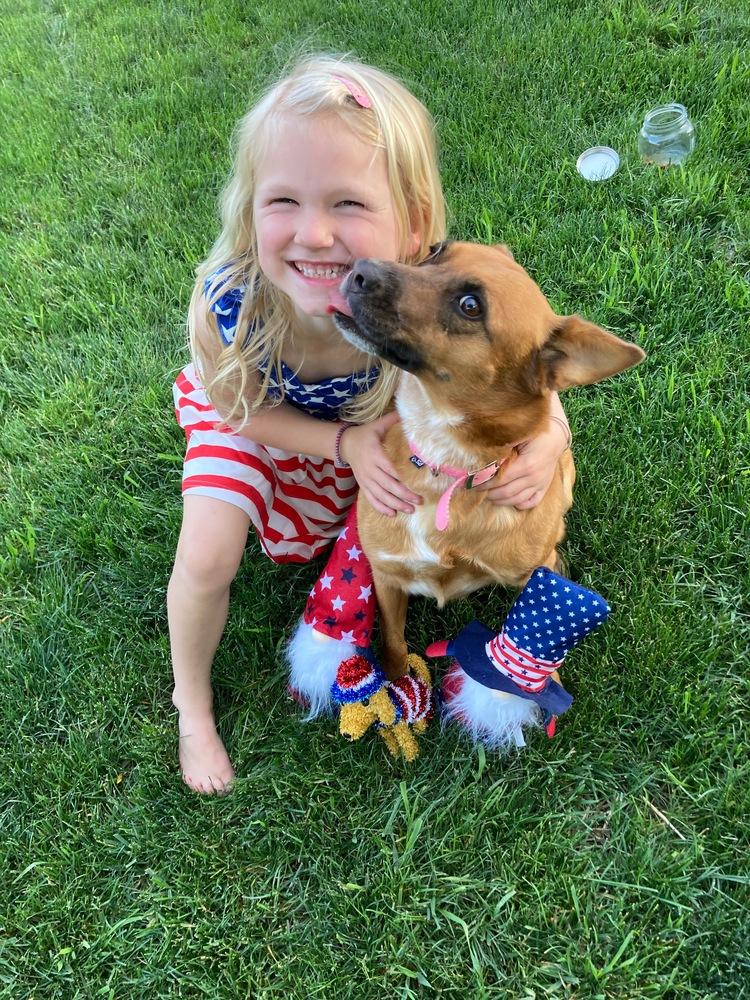 Enlarge Avie, a Adopted mixed breed in Loveland, OH image 2/6