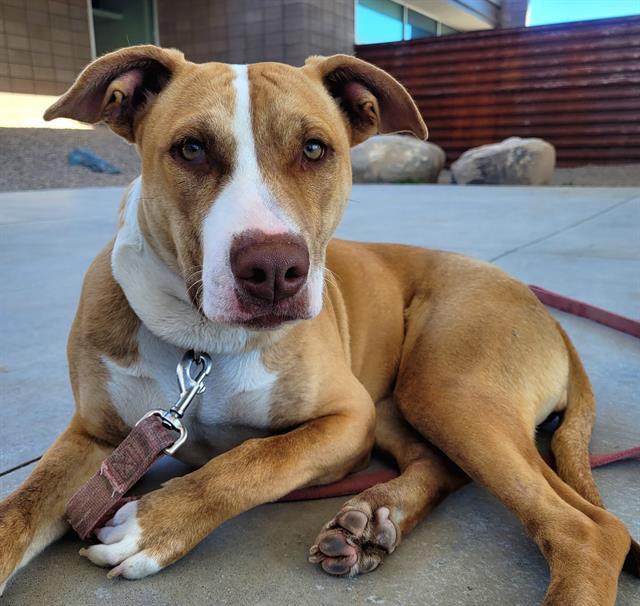 KARMA — thumbnail 2