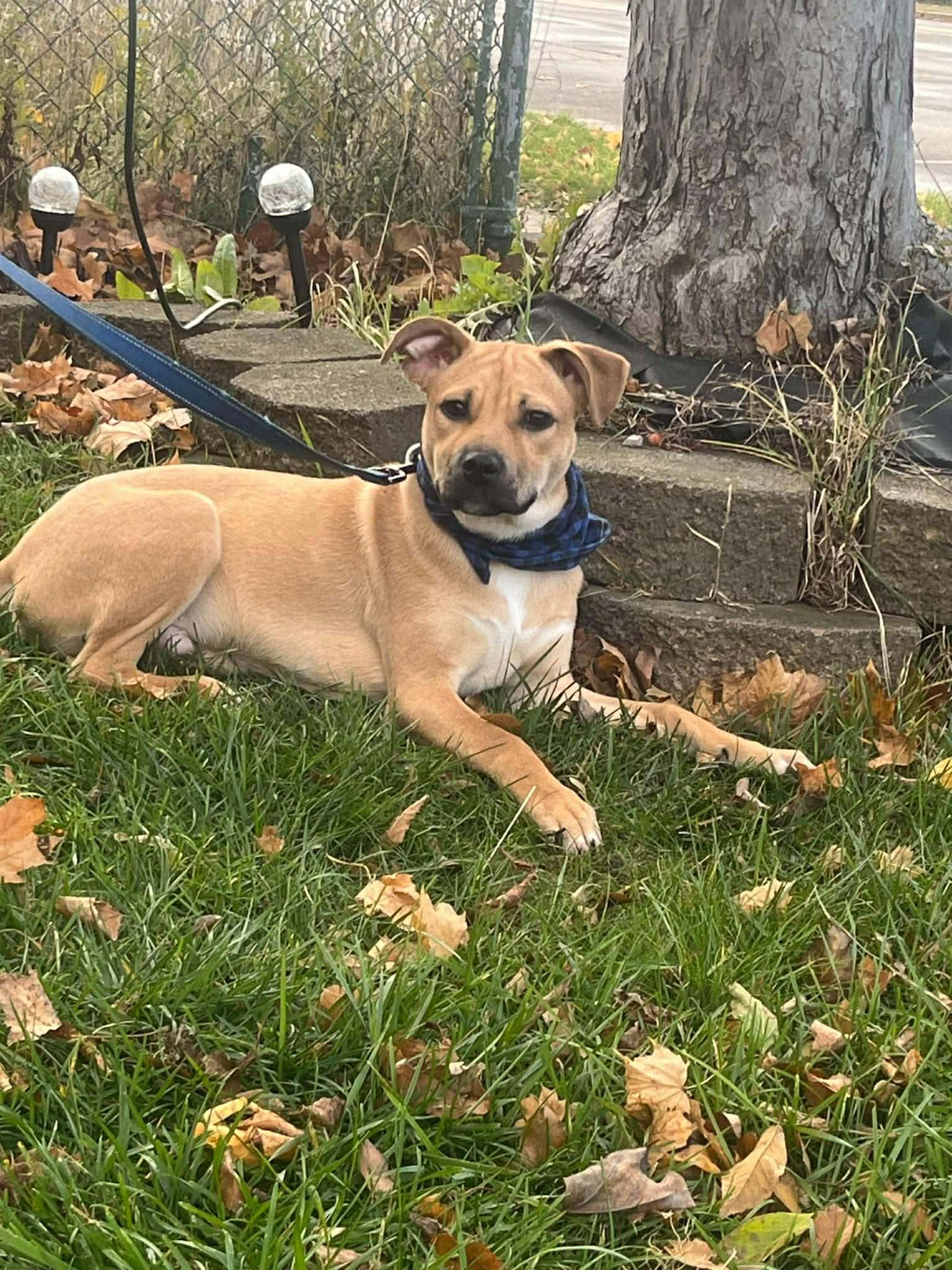 Jameson (20250808-06) — thumbnail 3