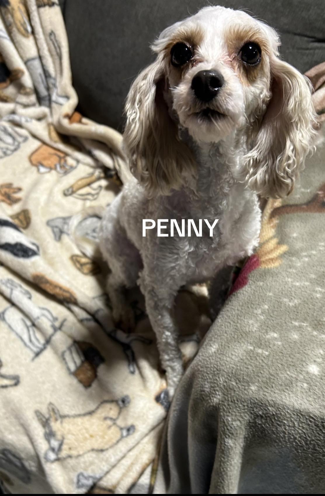 Penny.  Lbs