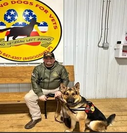 Enlarge Bo, a Adopted German Shepherd Dog in Lawrenceburg, TN image 1/1