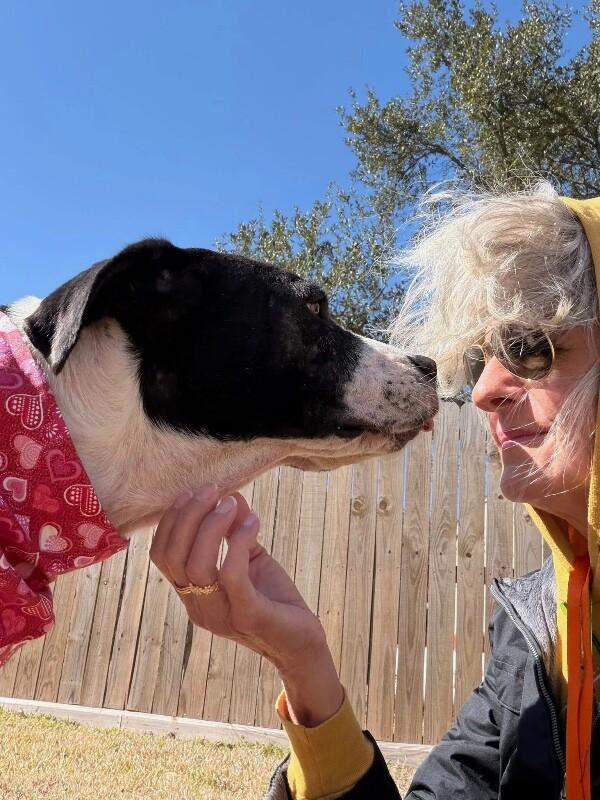 Valentina Lovie Made of Sugar and Smooches