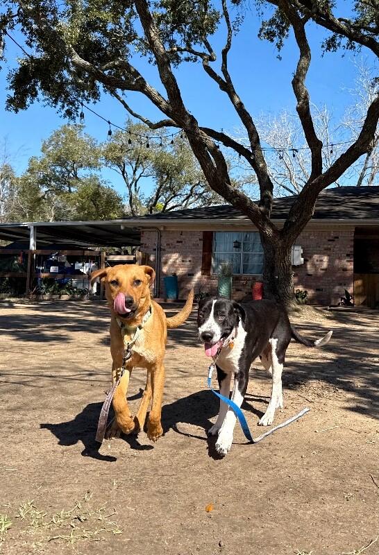 Valentina Lovie Made of Sugar and Smooches — thumbnail 2