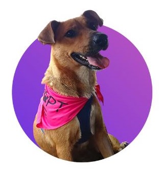 Zoey photo 6