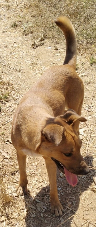 Zoey photo 3