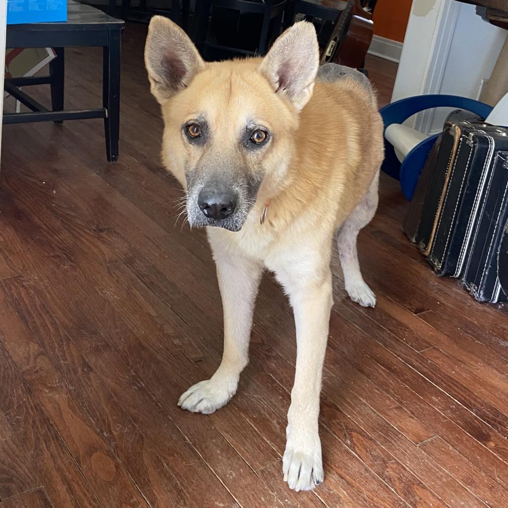 Big Chief — thumbnail 2