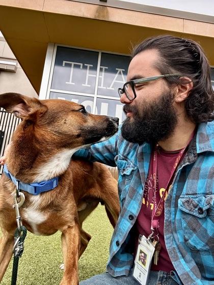 Enlarge Moose, a Adoptable mixed breed in Wichita, KS image 2/3