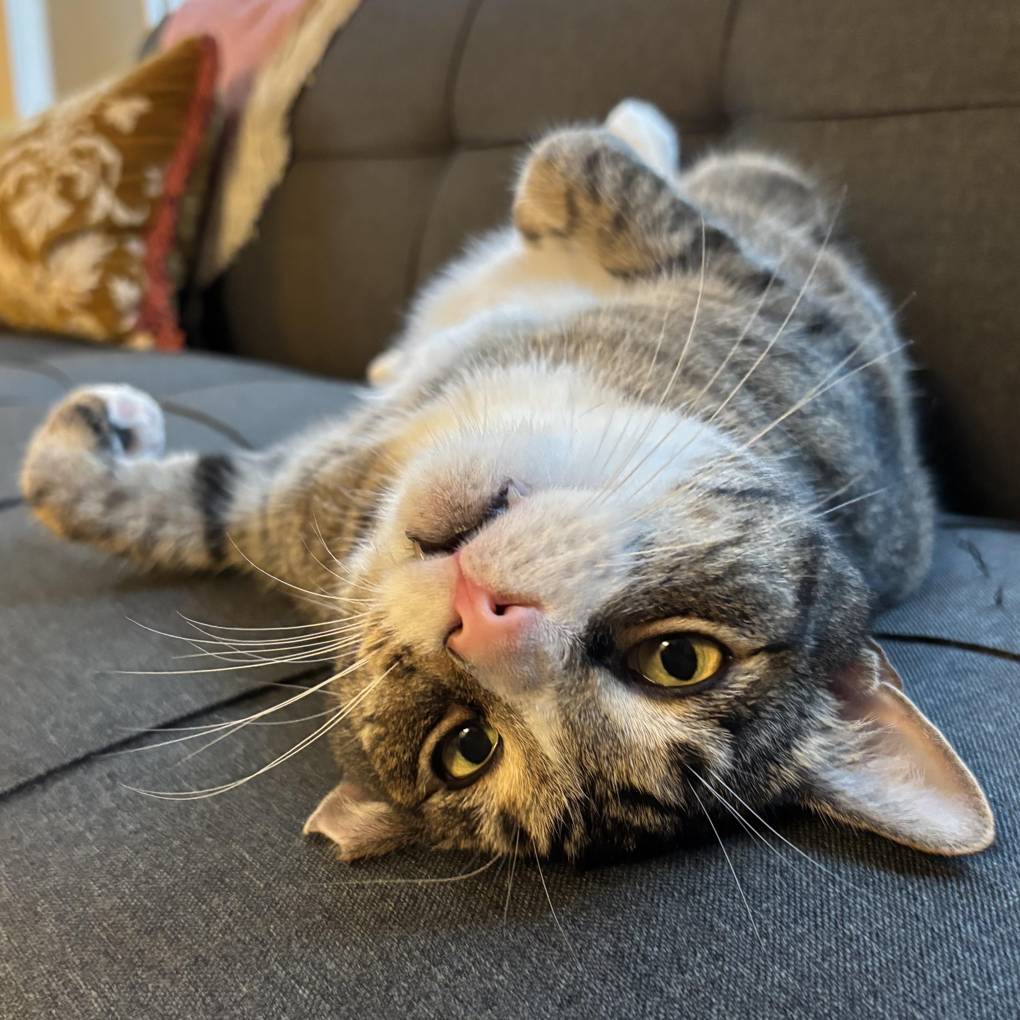 Tom