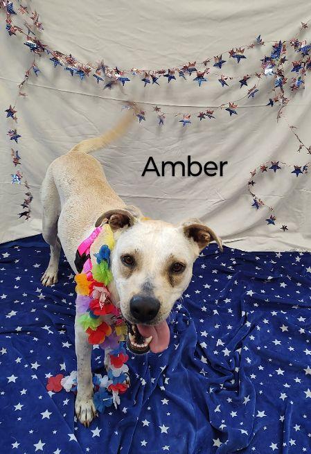 Amber