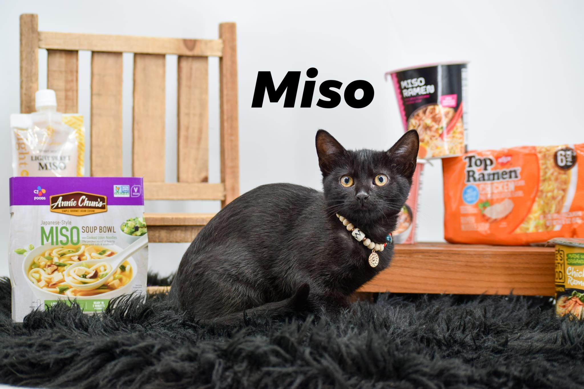 Miso