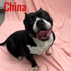 China, Senior Female unknown