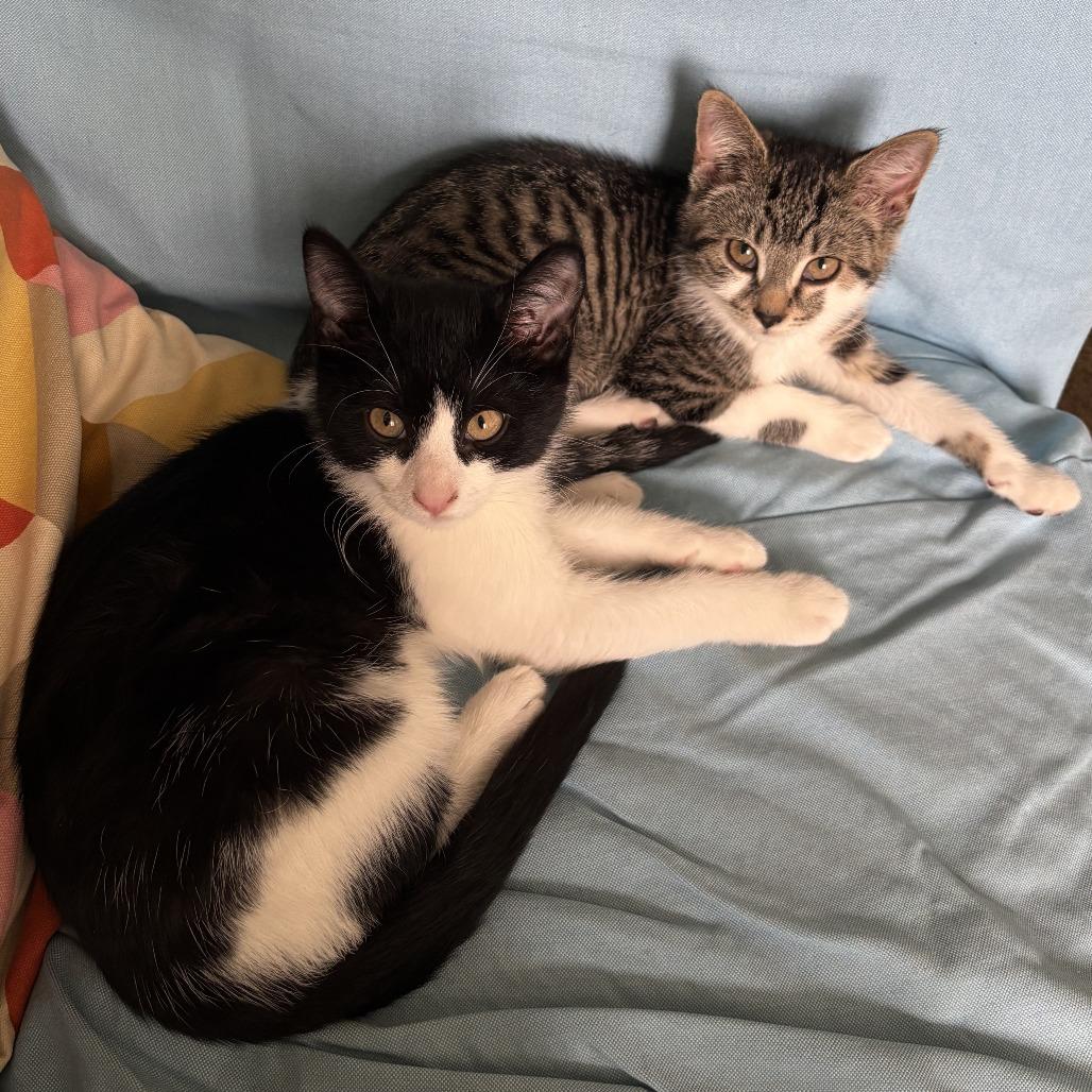 Theo & Celine — thumbnail 3