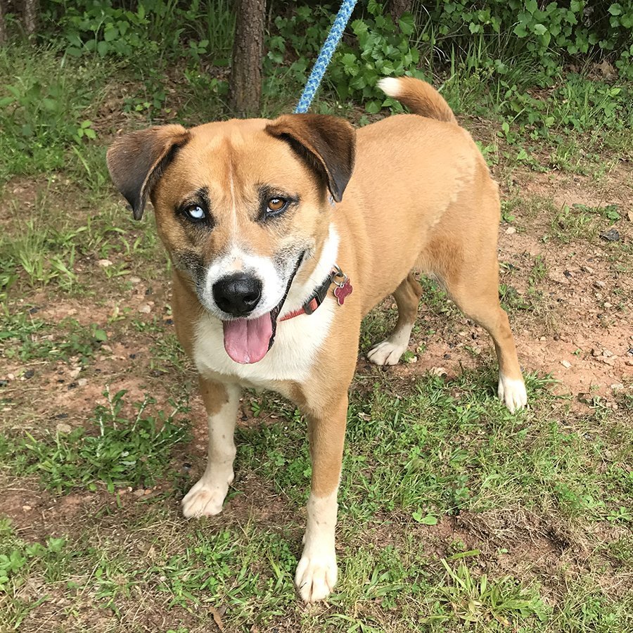 Chico