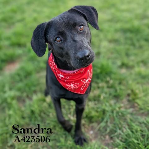 SANDRA