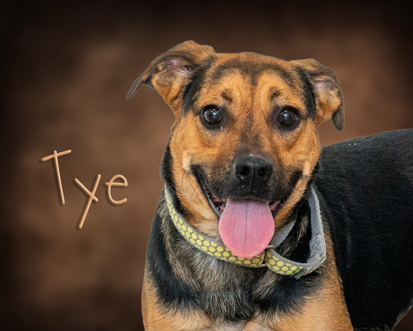 Tye