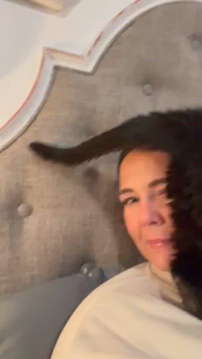 Enlarge Onyx, a Adopted American Shorthair in Galloway, NJ video 4/5