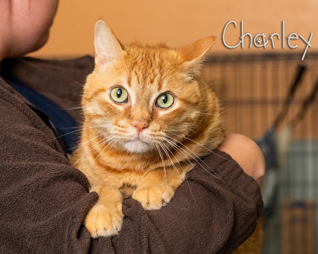 Charley