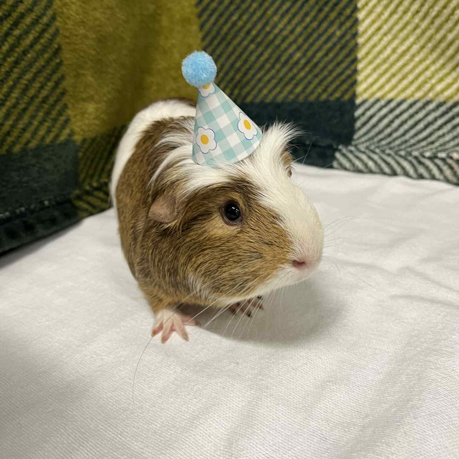 Benito
