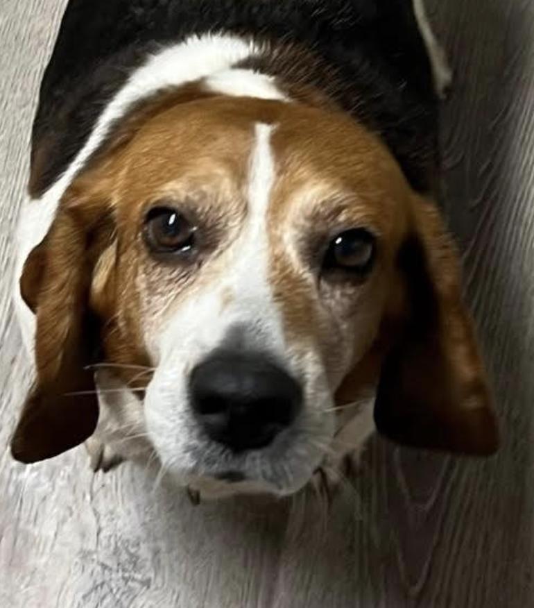 Maddy