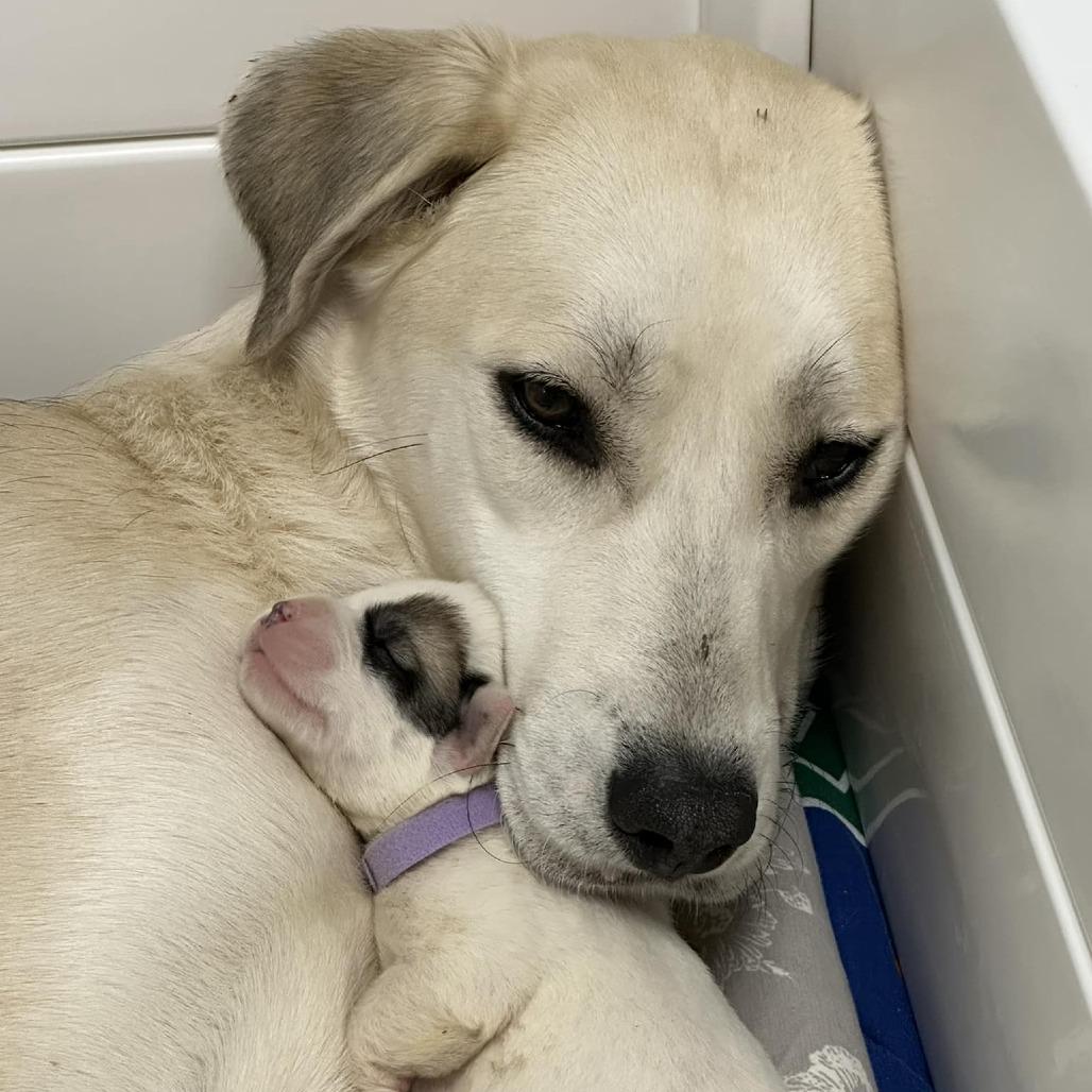 Val (mom) — thumbnail 2