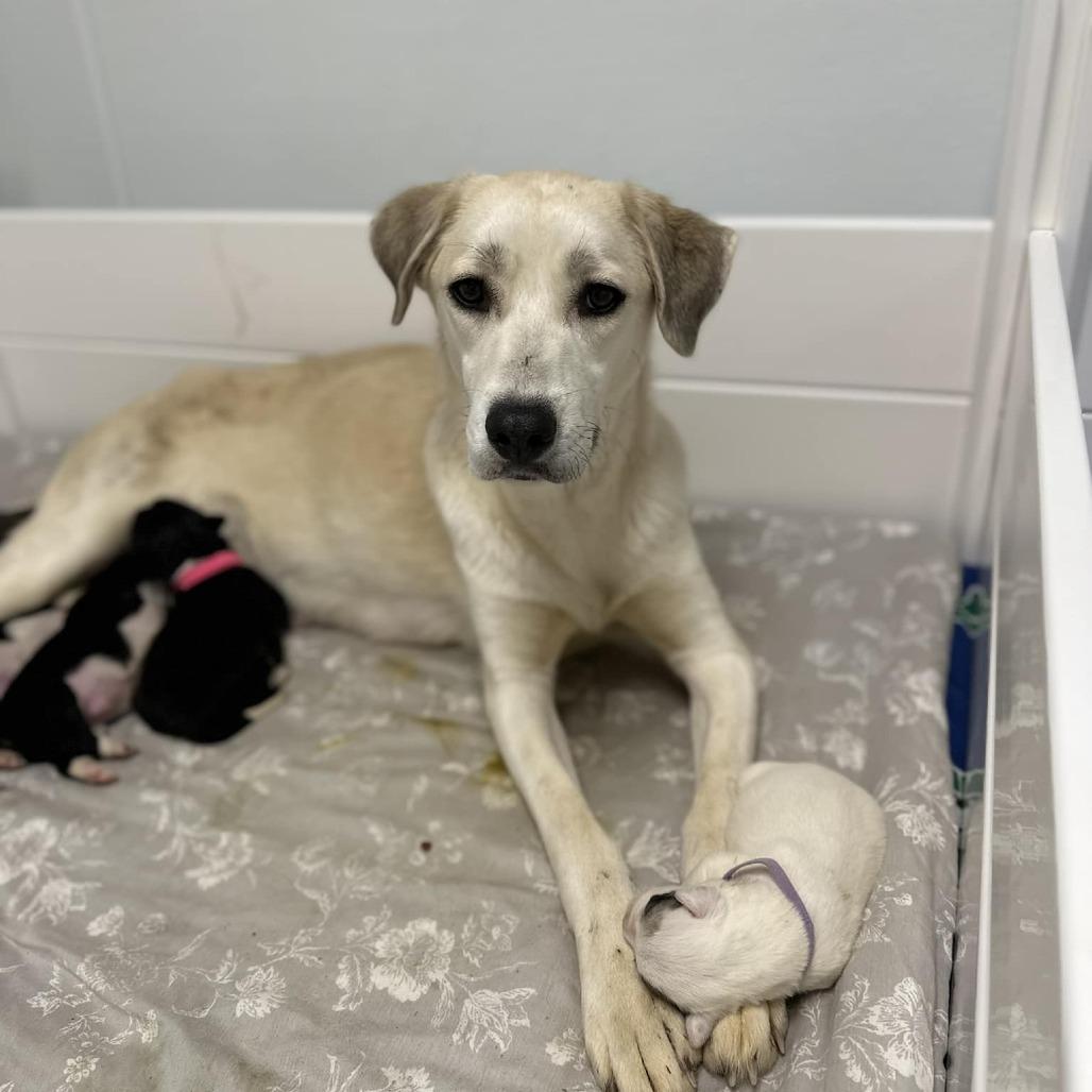 Val (mom) — thumbnail 4