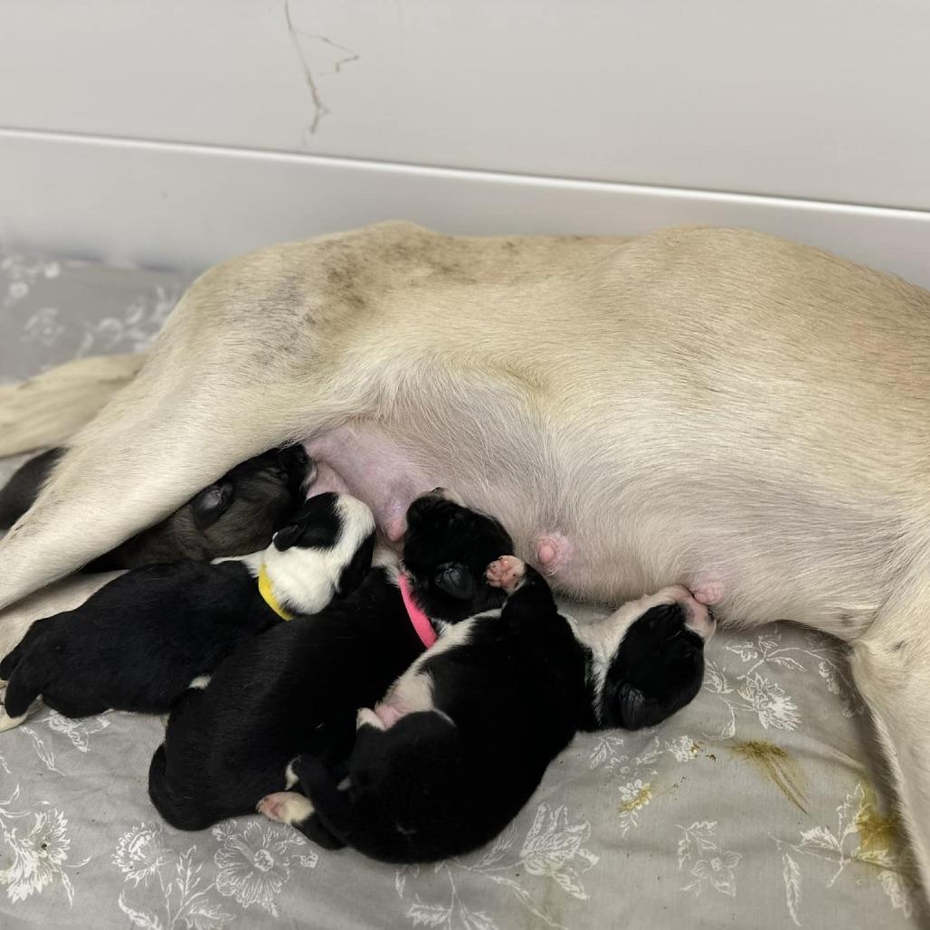 Val (mom) — thumbnail 5