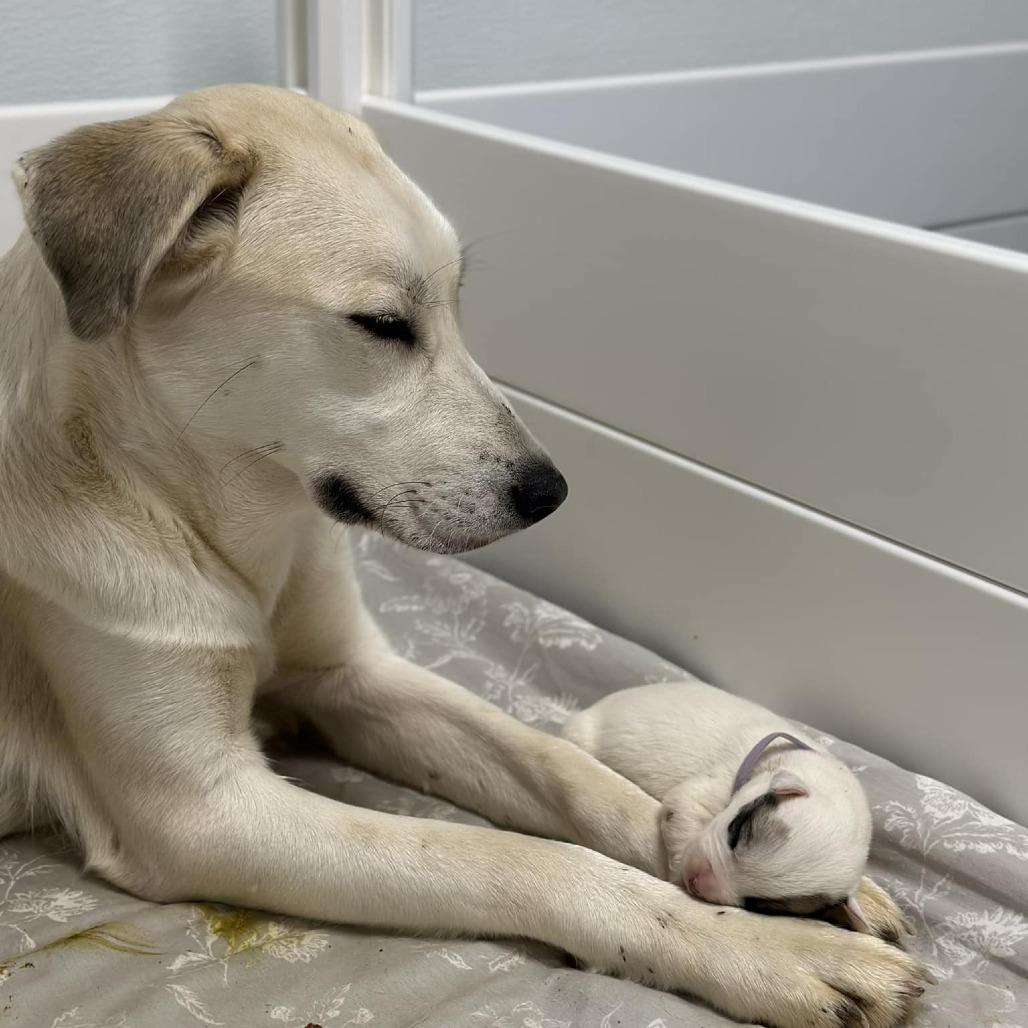 Val (mom) — thumbnail 6