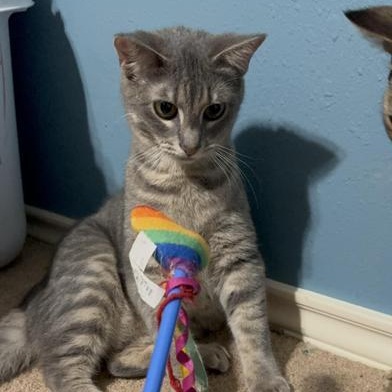 Delilah — thumbnail 5