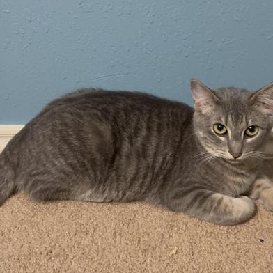 Delilah — thumbnail 6