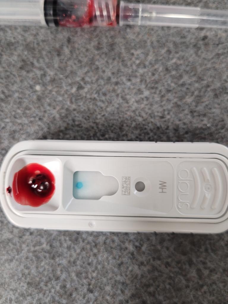 Lock, a Adoptable mixed breed in Hopkinsville, KY image 3/6