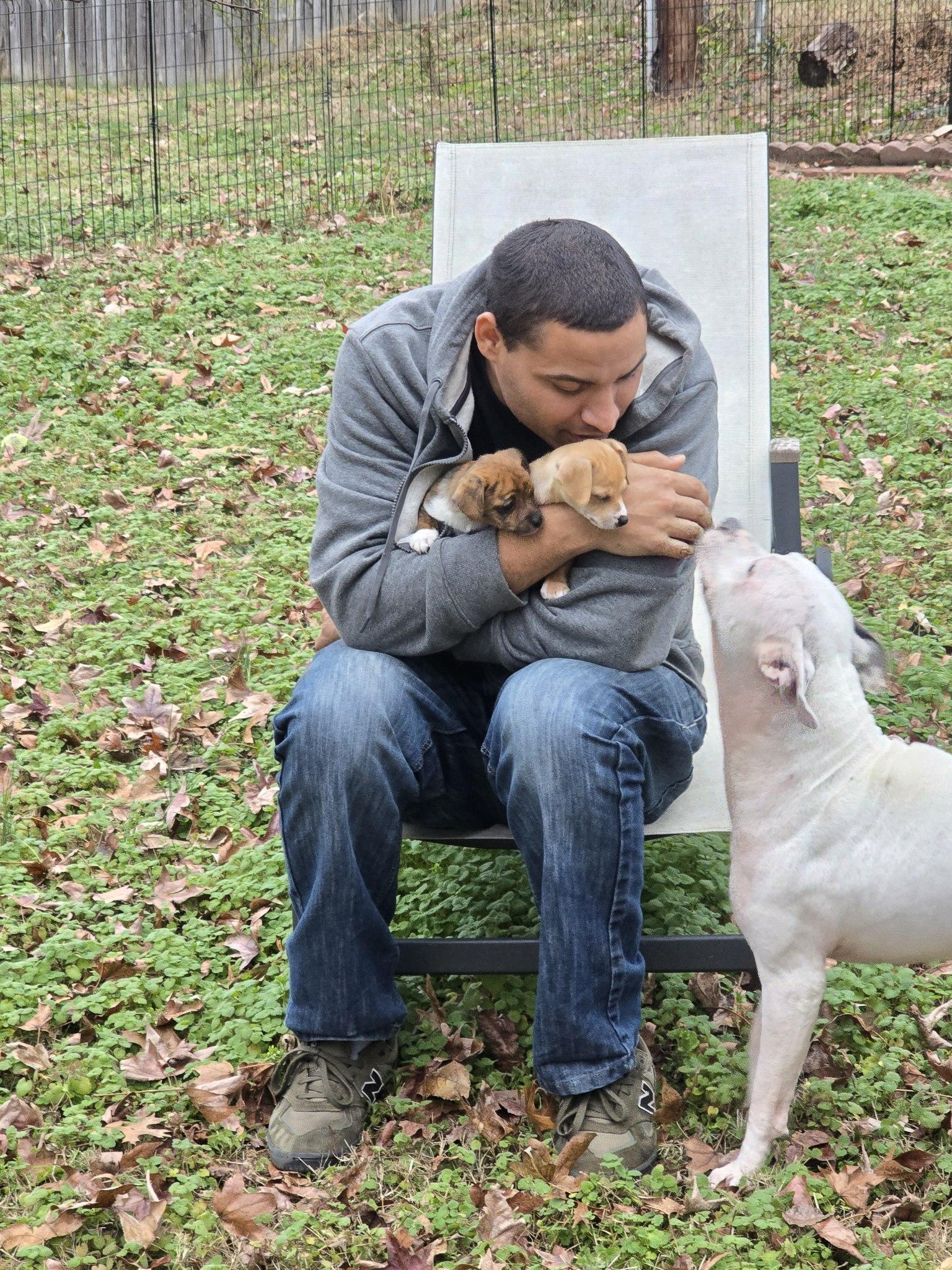Enlarge Elizabeth , a ADOPTABLE American Staffordshire Terrier in Charlotte, NC image 2/6