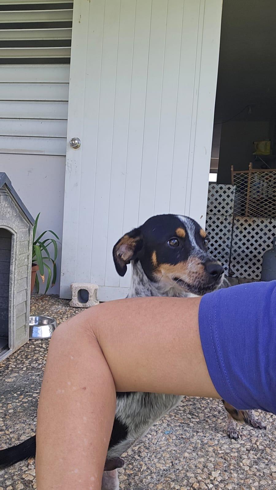 Pinky  "love Is thumbnail 5