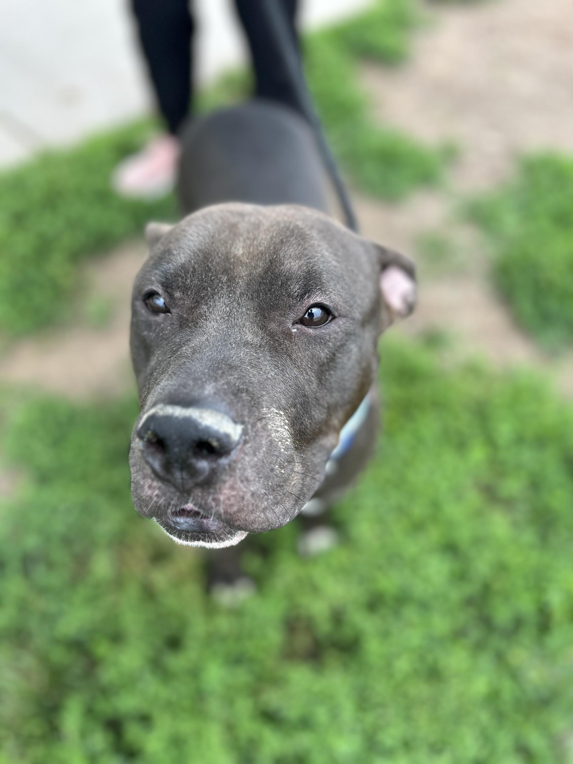 Penelope photo 3