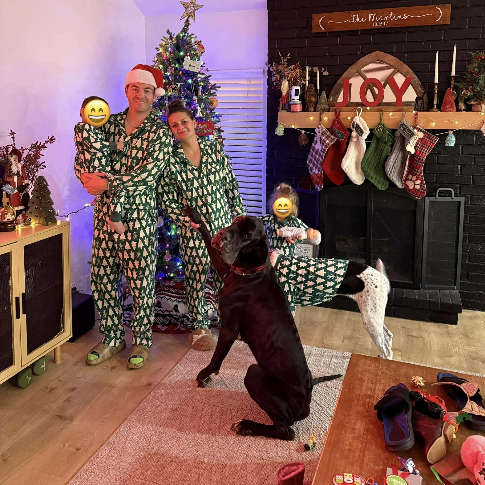 Abby — thumbnail 3