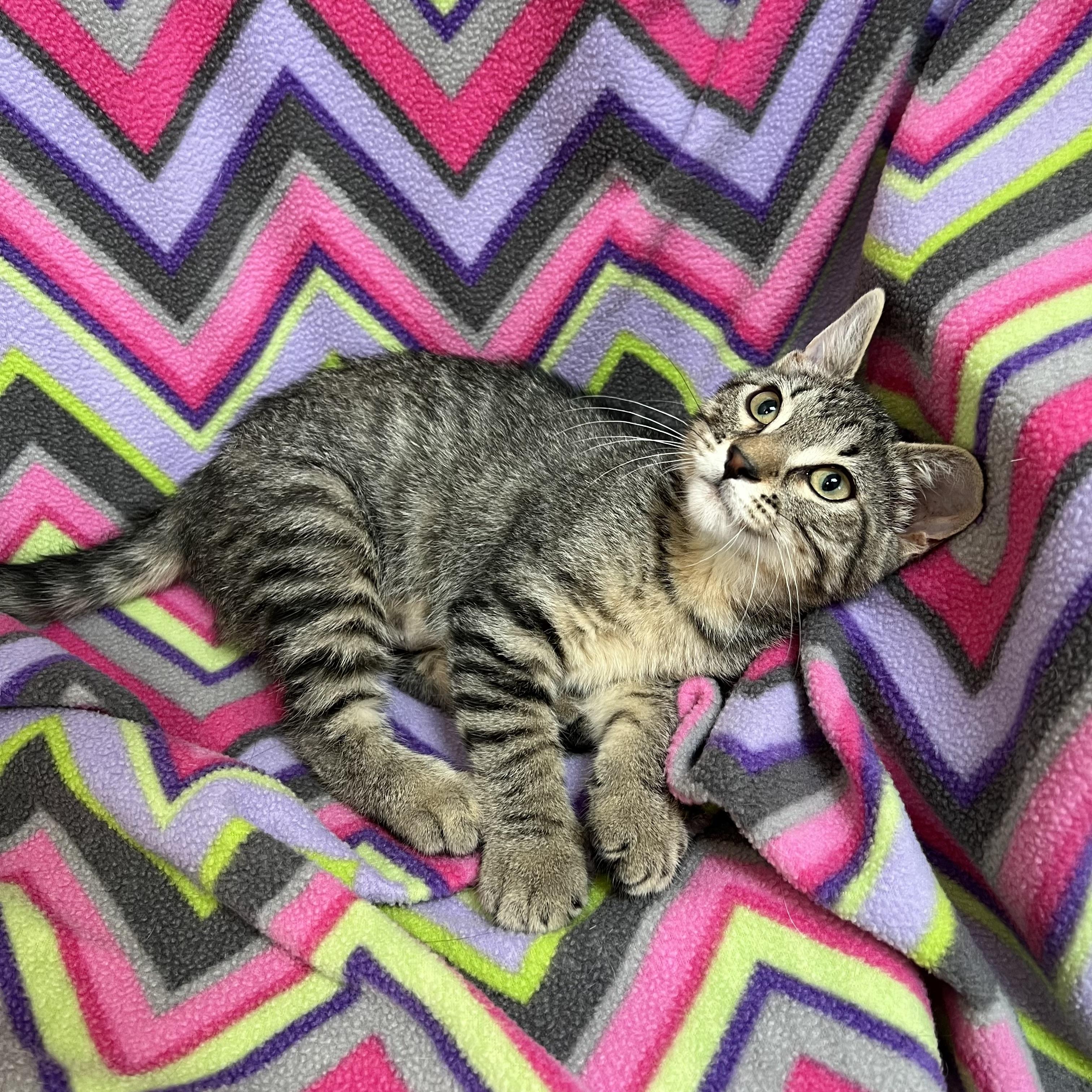Velcro