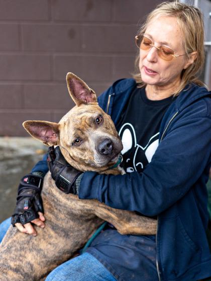 Enlarge Gwen - IN FOSTER, a Adoptable Mixed Breed in Chamblee, GA image 3/3