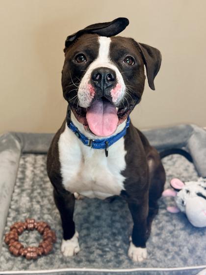 Reed — thumbnail 2