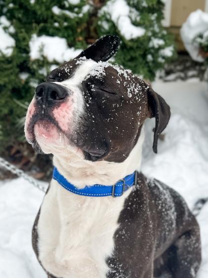 Reed — thumbnail 3