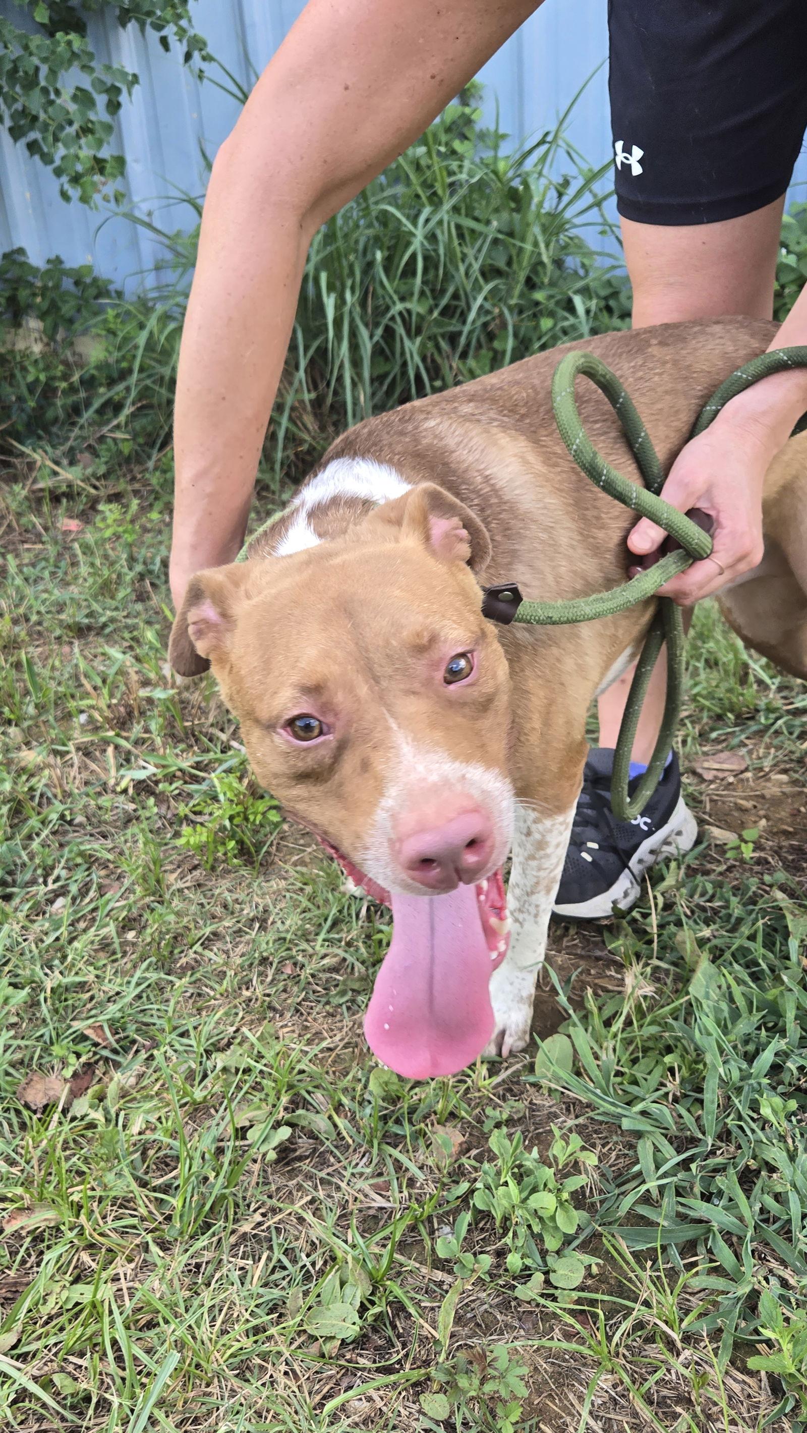 Claire — thumbnail 2