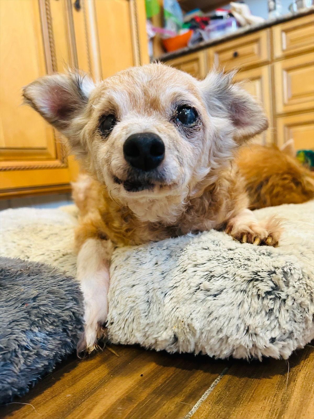 Courage — thumbnail 3